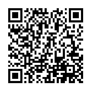 可大部分钱最终都用来支持组织的事业和运营了二维码生成