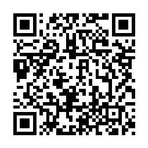 可她不是那种会为了报复他而牺牲自己幸福的人二维码生成