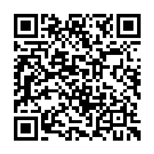 可她估计这种地方可能有他们惹不起的高手存在二维码生成