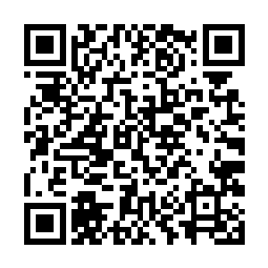 可她总会自然而然的把子睿跟二十一世纪的孩子去比二维码生成