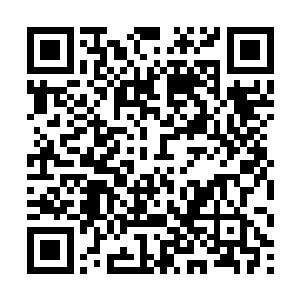 可她故意支走自家车夫为的不就是能和江予安搭上话二维码生成