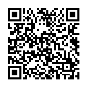 可如今夏云杰竟然说过些日子给他们每人一个尝尝鲜二维码生成