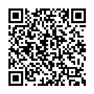 可如此的话至少能够快速的消磨对方身上的魔气二维码生成