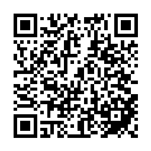 可孟小姐的志向可不是困在大晋国当一个守护者二维码生成
