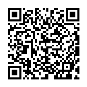 可它那强横的肉身也必然会被秦方打成重伤的……那样的话二维码生成