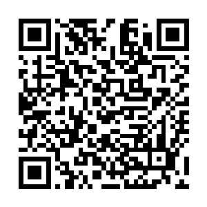 可实在话也没有比他们芝安市那个别墅看起来高贵多少二维码生成