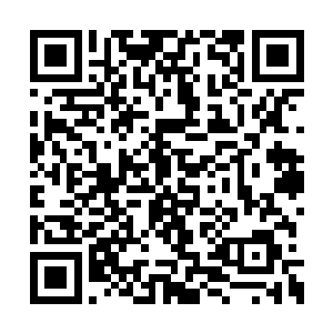 可实际上只要眼睁睁的看着身边的战友中弹倒下二维码生成