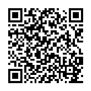 可实际上她不过是将她在前世所了解的地貌说了出来二维码生成
