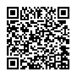可实际上棒子国真正的高手都没有把跆拳道当回事的二维码生成