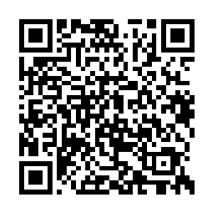 可实际上秦方暗地里还是有着自己另外一个目的二维码生成