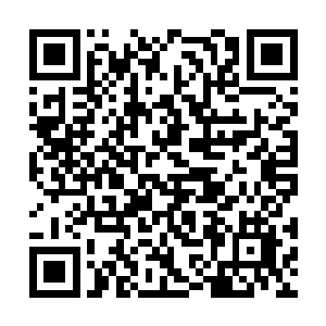 可实际上逐渐提升的财富甚至连自保的能力都没有二维码生成