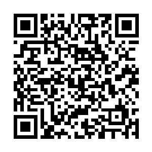 可实际上都知道她就是与皇室联姻的一个工具而已二维码生成