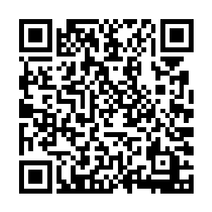 可小昭还是二话不说换药的时候就扒了巴克的遮羞布二维码生成