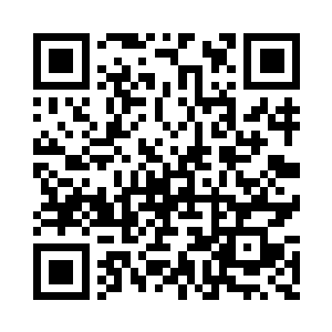 可小的从粮铺里提的的确是旱稻一号的种子二维码生成