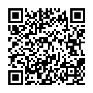 可尖子生们就立刻齐刷刷的放下了筷子危襟正坐二维码生成