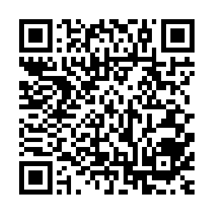 可就在巫城成员都以为巫象会把半神骨兵的控制权交给罗绝时二维码生成