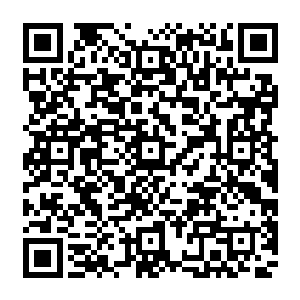 可就在路经这里时……我感应到一个非常适合你的东西……竟是一时忘记了这里的限制二维码生成