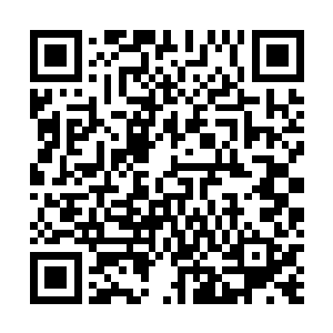 可就在这黑红火焰顺着树枝朝着姥姥本体焚灭而去的时候二维码生成