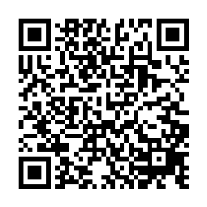 可幽冥已经绕过了别墅从另一头来到了东方天纵的别墅外二维码生成