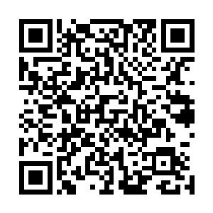 可张潇晗看到的却是电弧内隐含的灵力没入到禁制线条之内二维码生成