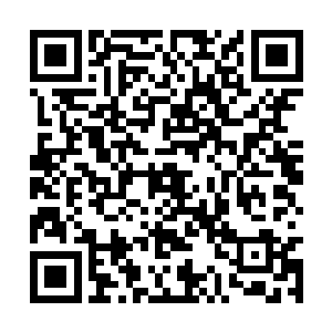 可怕的力量直接压制住了只有入武巅峰境的徐白起二维码生成