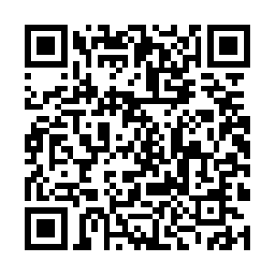 可怕的是这里成千上万的千足虫共同散发出来的气体二维码生成