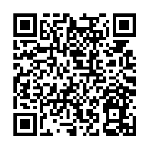 可怖的面容……只不过这次是几十个屏幕同时播放二维码生成