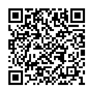 可怜他好端端一个赌场就这么被唐劫打成稀巴烂二维码生成