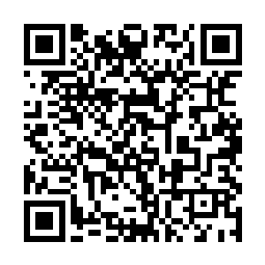 可怜嚣张一世张牙舞爪的安少此时温驯的像一只小猫二维码生成