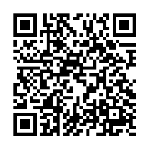 可怜巴巴的小叶果瑟瑟缩缩的挪动着小步子溜到了叶妩身边二维码生成