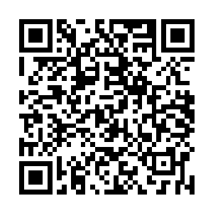 可怜武力值不错的彘族战士们只能躲在水洼里拼命憋气二维码生成