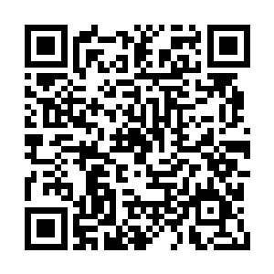 可怜的周东飞和韩超两人刚刚从拳头下逃离出来二维码生成