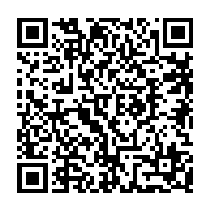 可怜的孩子饿死在路边发出腐臭的气息……她脑中只是机械地闪过这些东西二维码生成