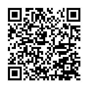 可怜的小家伙刚刚从母亲肚子里钻出来六个月而已二维码生成