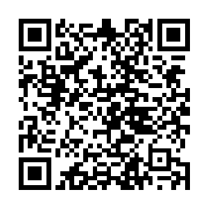 可怜的王楠也只能认命的跟在老太爷还有自己父亲的身边二维码生成