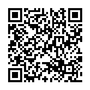 可怜的破虏眼巴巴的等着见见这位从未谋面的外公二维码生成