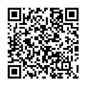 可惊愕地发现在这小钟笼罩的范围内居然一切都被封锁二维码生成