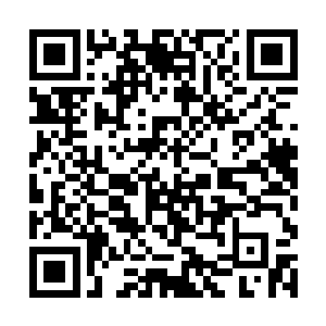 可惜他座下的弟子并不是每个都像他那么视死如归的二维码生成