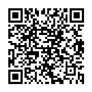 可惜他被徐燕燕讥讽成了癞蛤蟆想吃天鹅肉的典型二维码生成