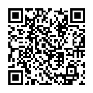 可惜再没有哪个小姐的礼物能够超过沈婉瑜的稀奇二维码生成