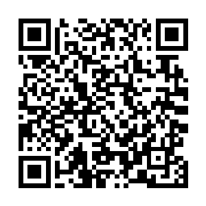 可惜在现场比赛的伊布拉希莫维奇不可能听到这样的称赞二维码生成