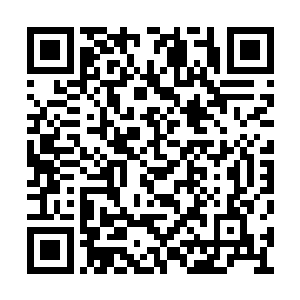 可惜墨菲斯的手像是虎钳一样牢牢的抓住池佳一二维码生成