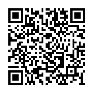 可惜大多数都看不清这名将军府年轻扈从的出刀二维码生成