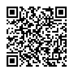 可惜她的声音无法唤醒已经处于狂乱状态的卡洛尔二维码生成