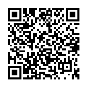 可惜念念早就在玉清落夜修独的教育下修炼成精二维码生成