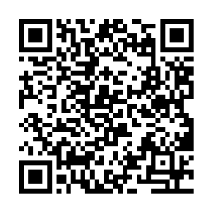 可惜我们家里的那个兄弟姊妹都是有着深仇大恨一般二维码生成