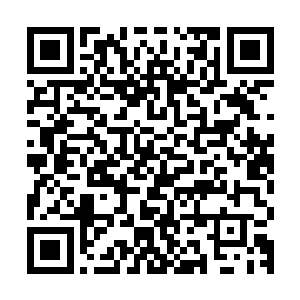 可惜我们的天鹤神阵只有在本宗内才能完全爆发出它应有的威力二维码生成