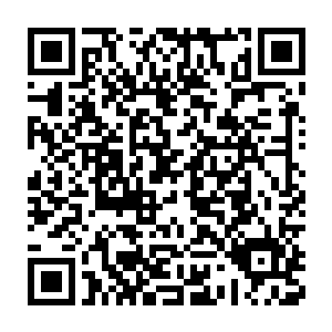 可惜我见多像你这样恨不得把继母对自己的心思都分析想成恶意的人二维码生成