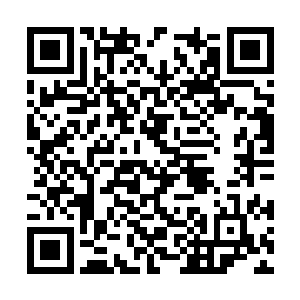 可惜明天她就要离开江州市远赴香港开始新的生活二维码生成