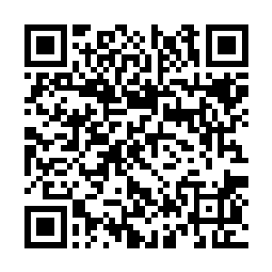 可惜洪涛一瘸一拐的回去拿来的这块肉算是白拿了二维码生成